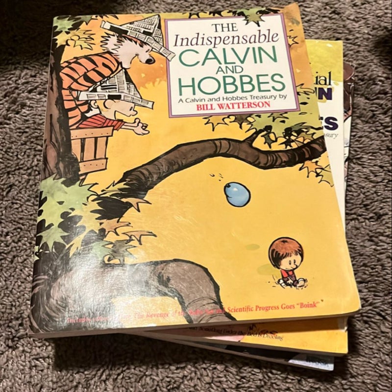 The Indispensable Calvin and Hobbes