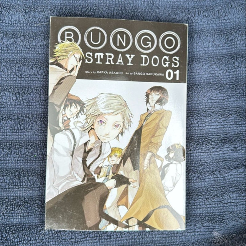 Bungo Stray Dogs, Vol. 1