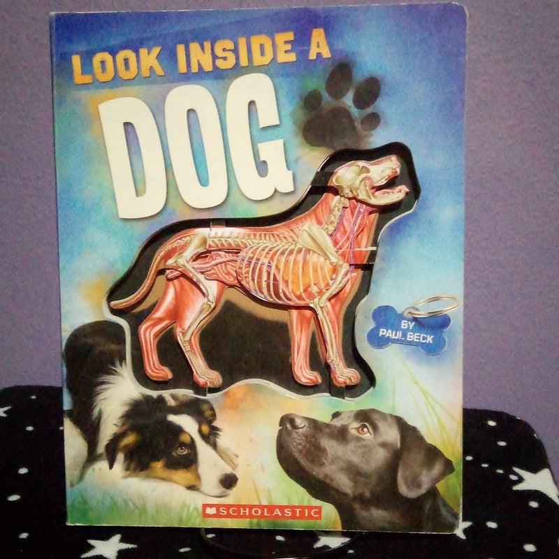 Look Inside A Dog