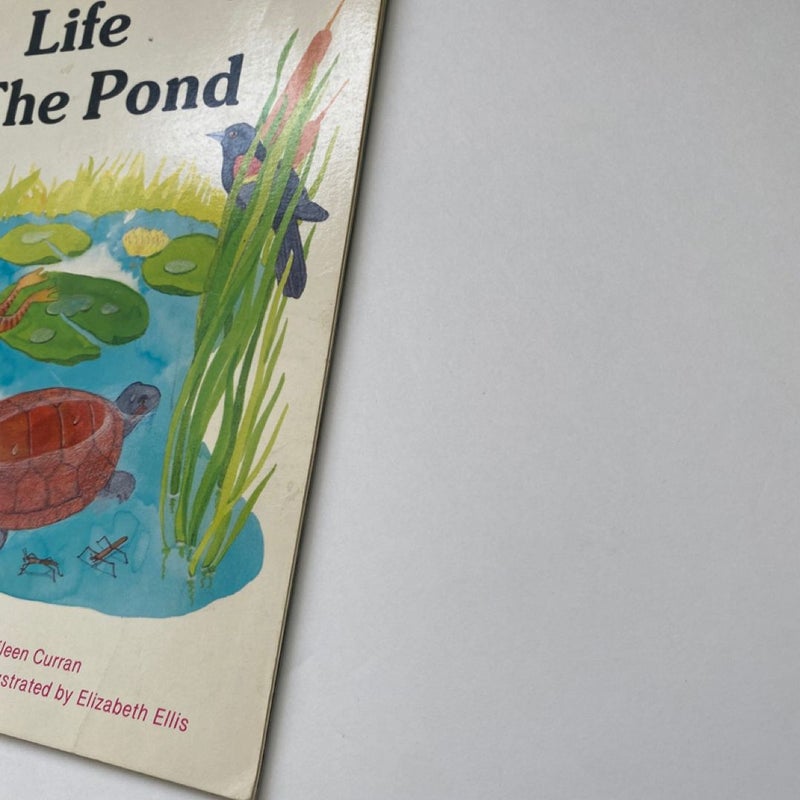 Life in the Pond