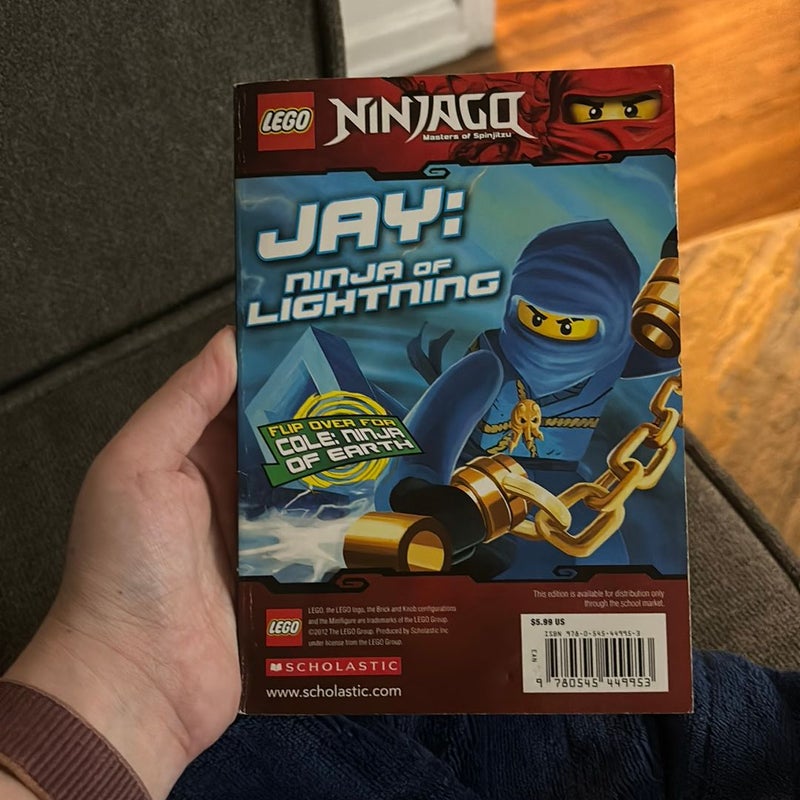 LEGO Ninjago (2 books in 1)
