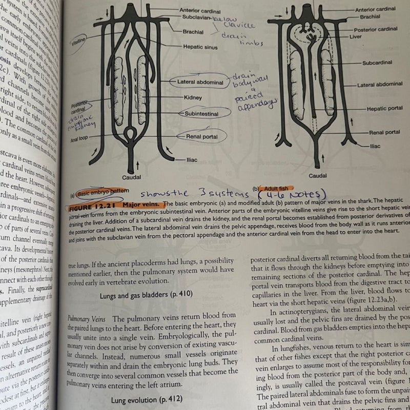 Vertebrates: Comparative Anatomy, Function, Evolution