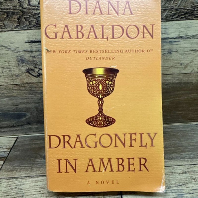 Dragonfly in Amber