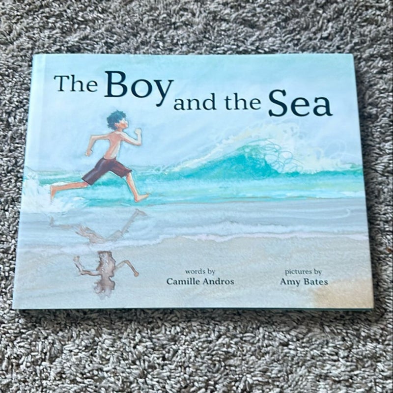 The Boy and the Sea