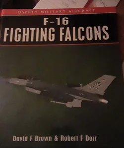 F-16 Fighting Falcons