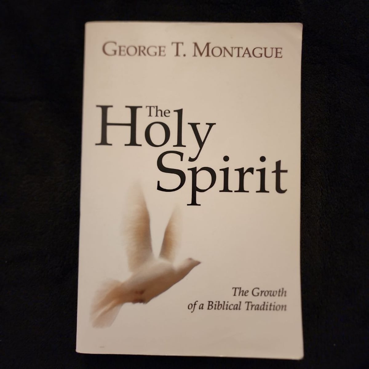 The Holy Spirit by George T. Montague