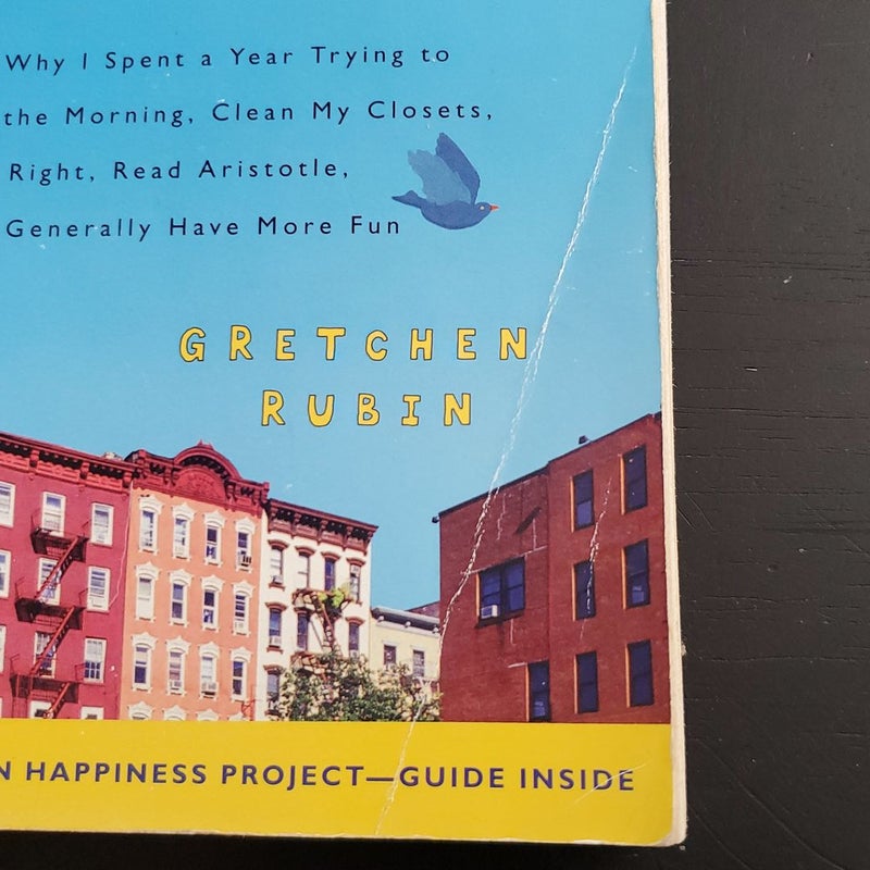 The Happiness Project