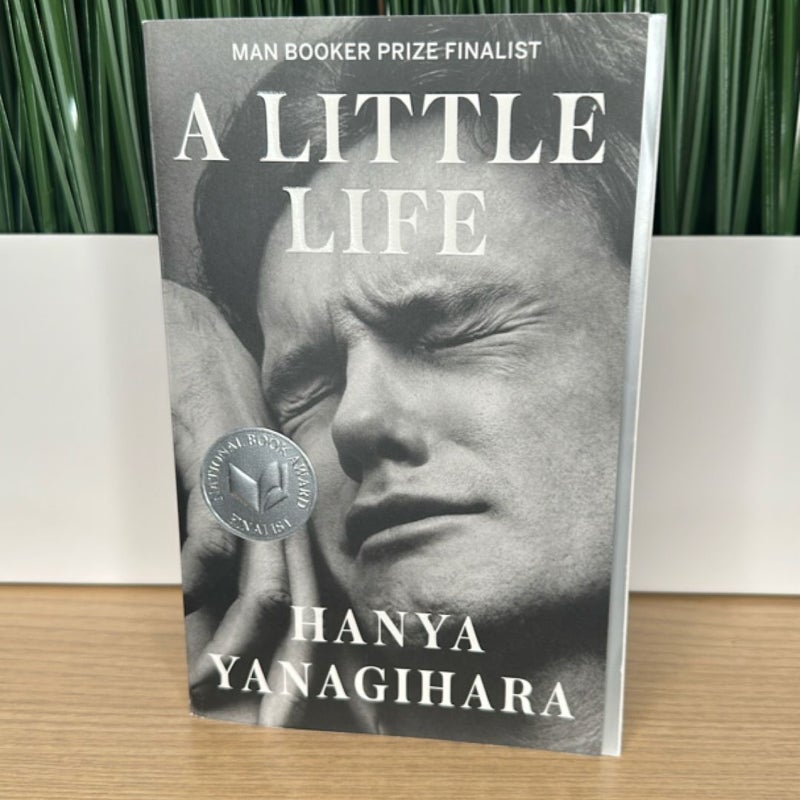 A Little Life