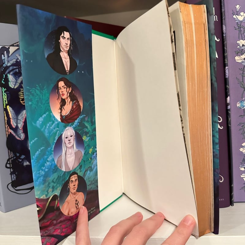 A Dawn with the Wolf Knight