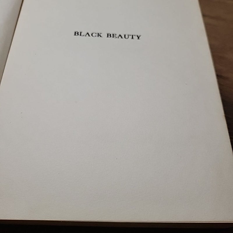 Black Beauty Vintage 1927