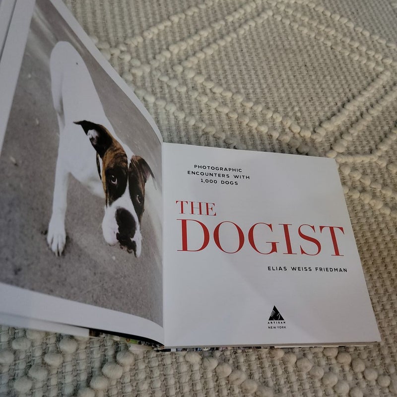 The Dogist