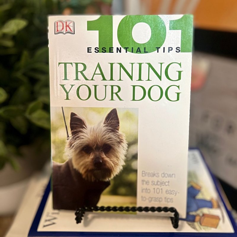 Training Your Dog