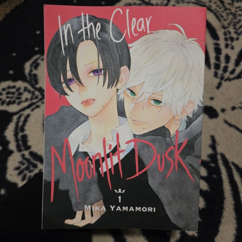 In the Clear Moonlit Dusk 1