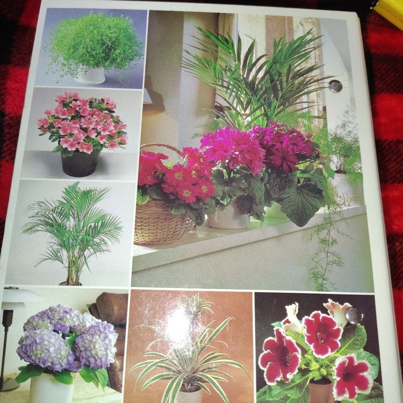 Success with house plants, set of 4, two ring binder with hold out cards