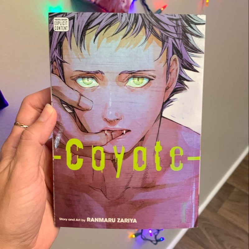 Coyote, Vol. 1