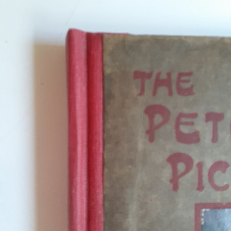 The Peter Pan Picture Book