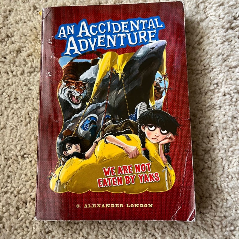 An Accidental Adventure