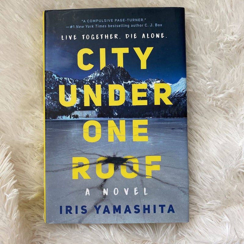 City Under One Roof (Paperback)