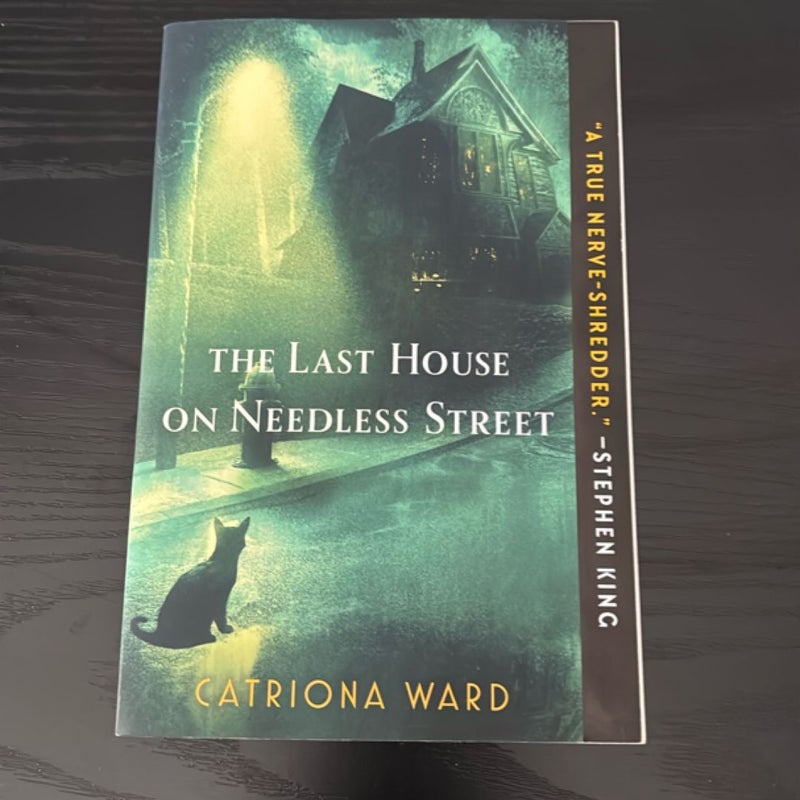 The Last House on Needless Street