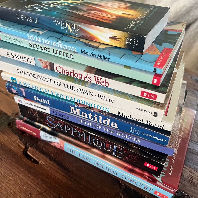 MATILDA - bundle of 10 middle school juvenile fiction chapter books