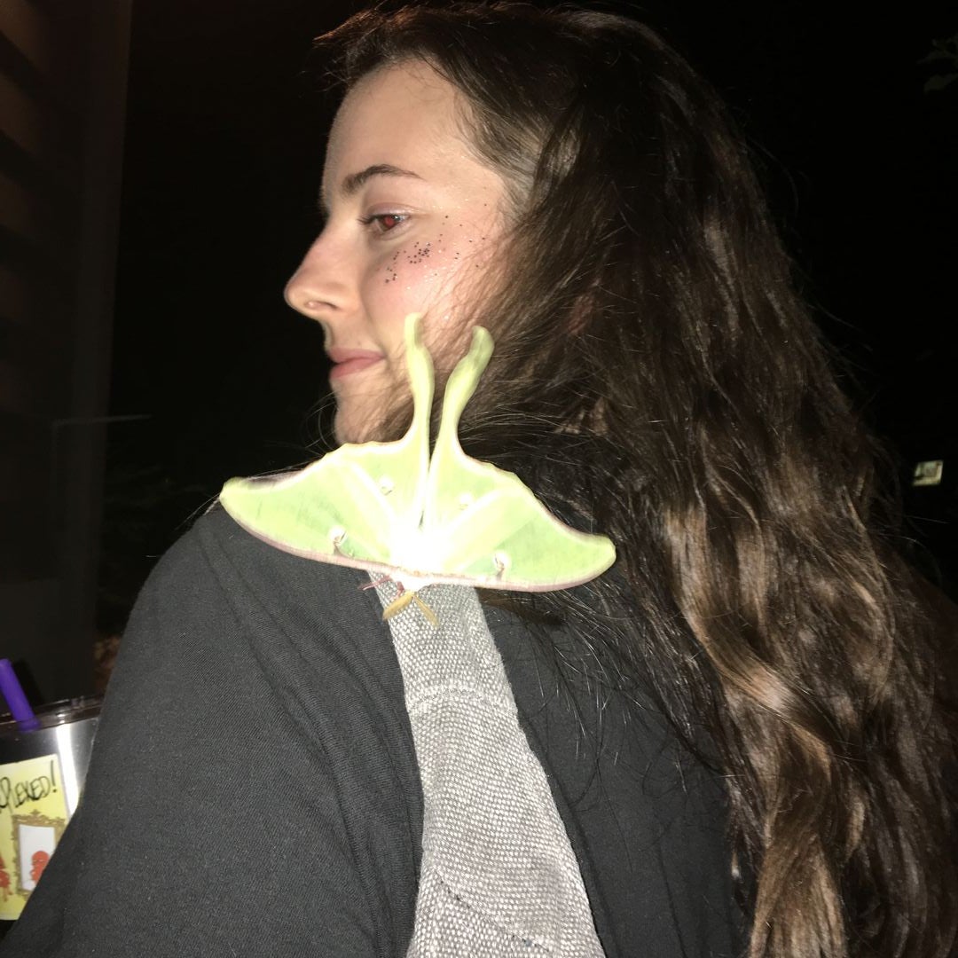 Hungry Moth Books