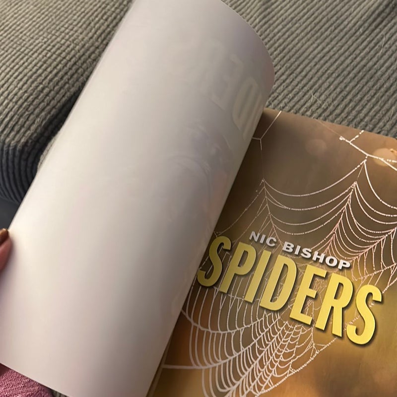Spiders