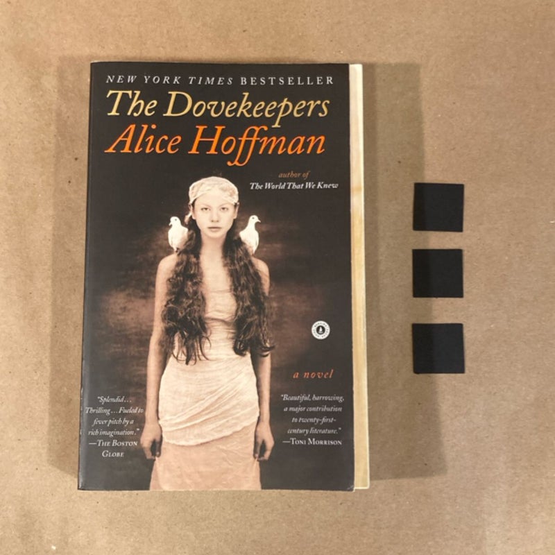 The Dovekeepers