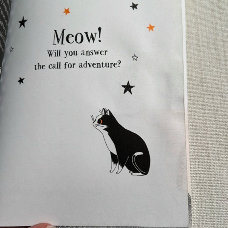 Kitty and the Moonlight Rescue