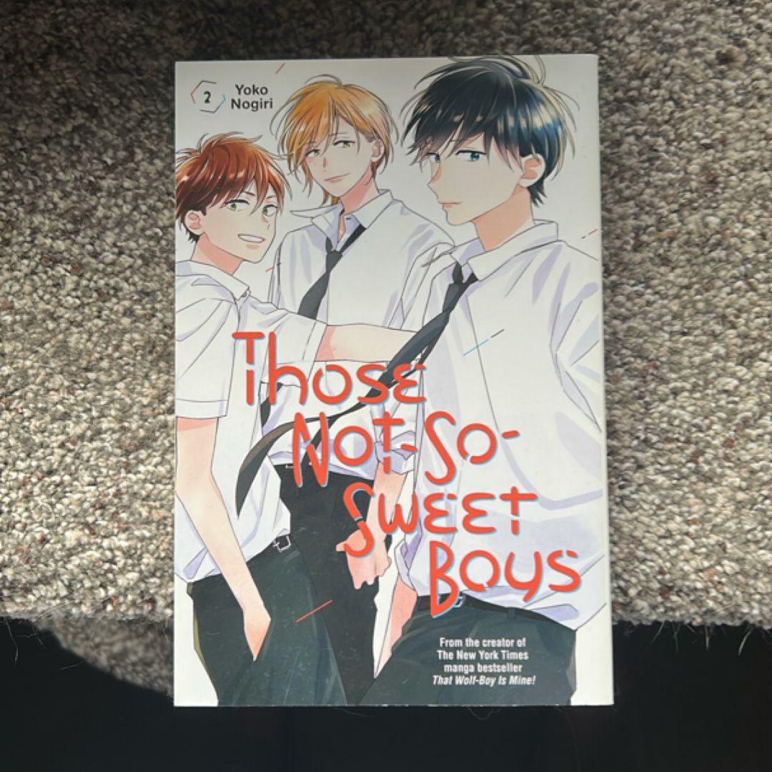 Those Not-So-Sweet Boys 2