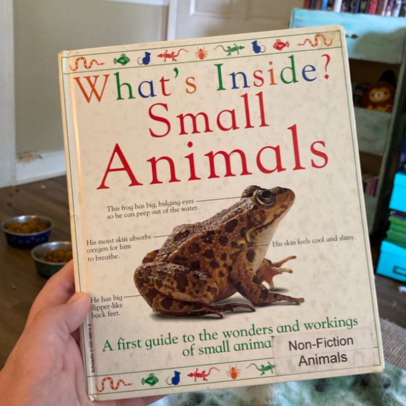 What’s Inside?