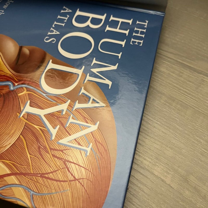 The Human Body Atlas by Global Book Publishing, Hardcover