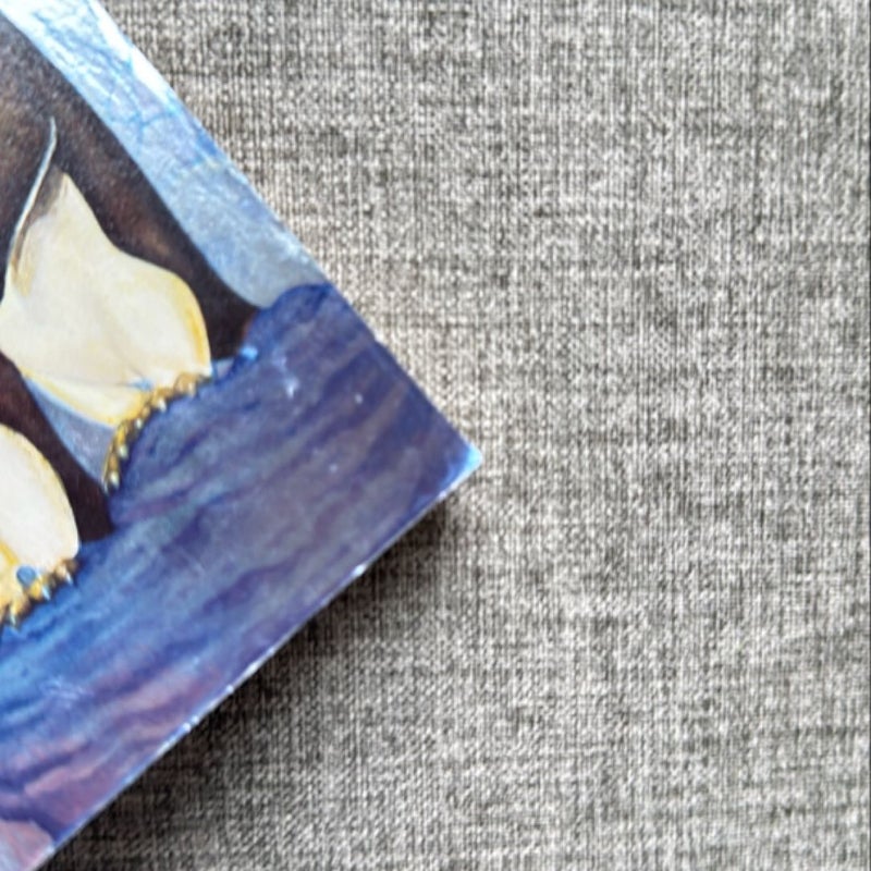 Eve of the Emperor Penguin