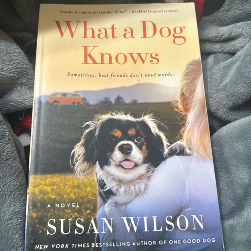 What a Dog Knows