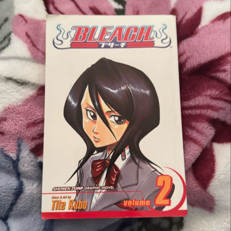 Bleach, Vol. 2