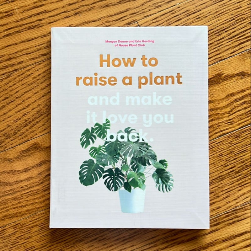 How to Raise a Plant