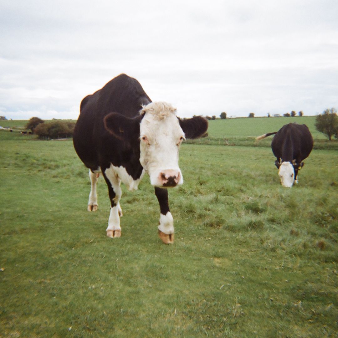 victoria’s books! :)