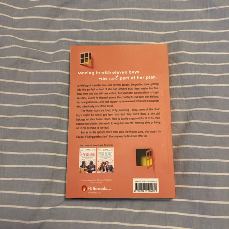 My Life with the Walter Boys