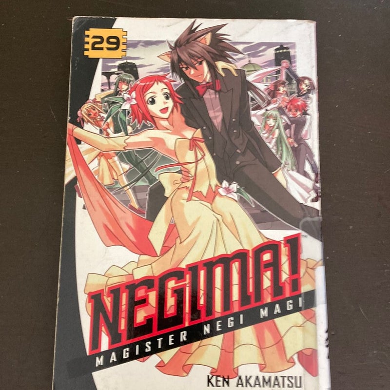 Negima! 29