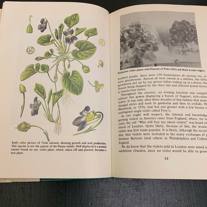 The Complete Book of Violets