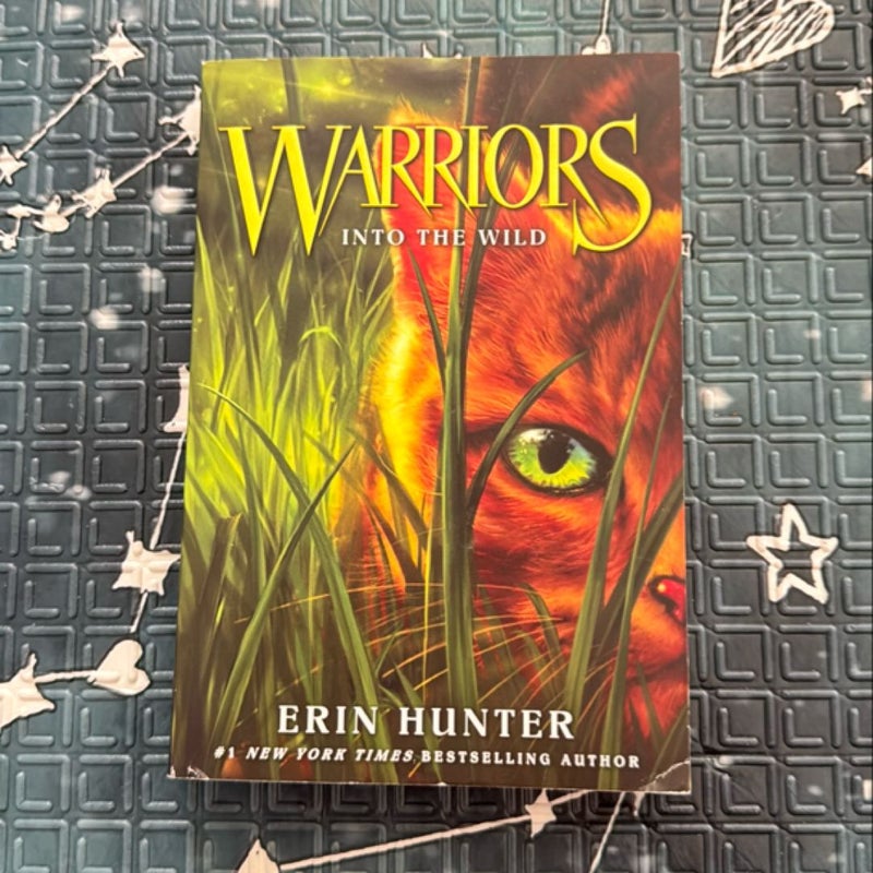 Warriors #1: into the Wild
