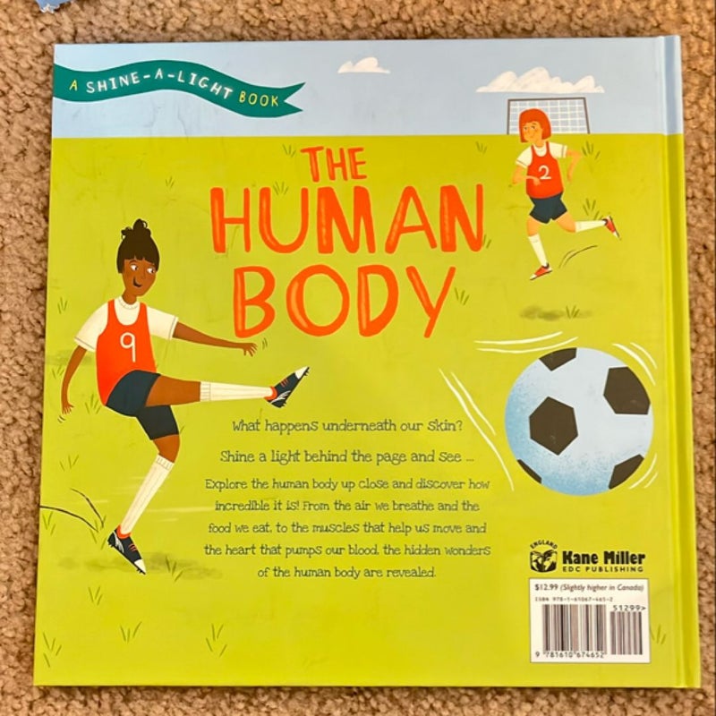 The Human Body