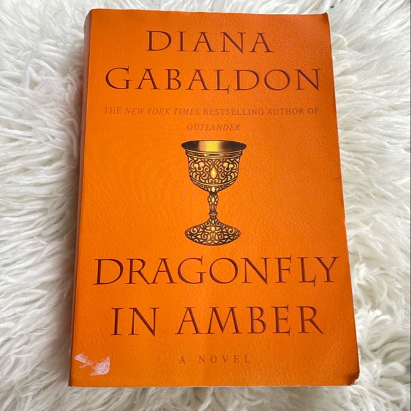 Dragonfly in Amber