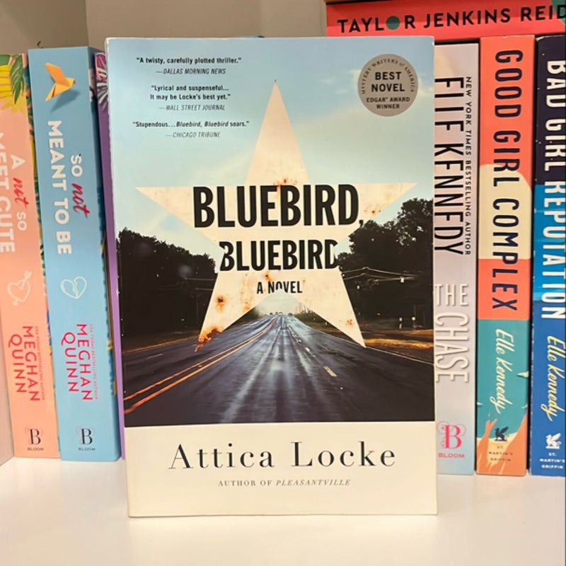 Bluebird, Bluebird