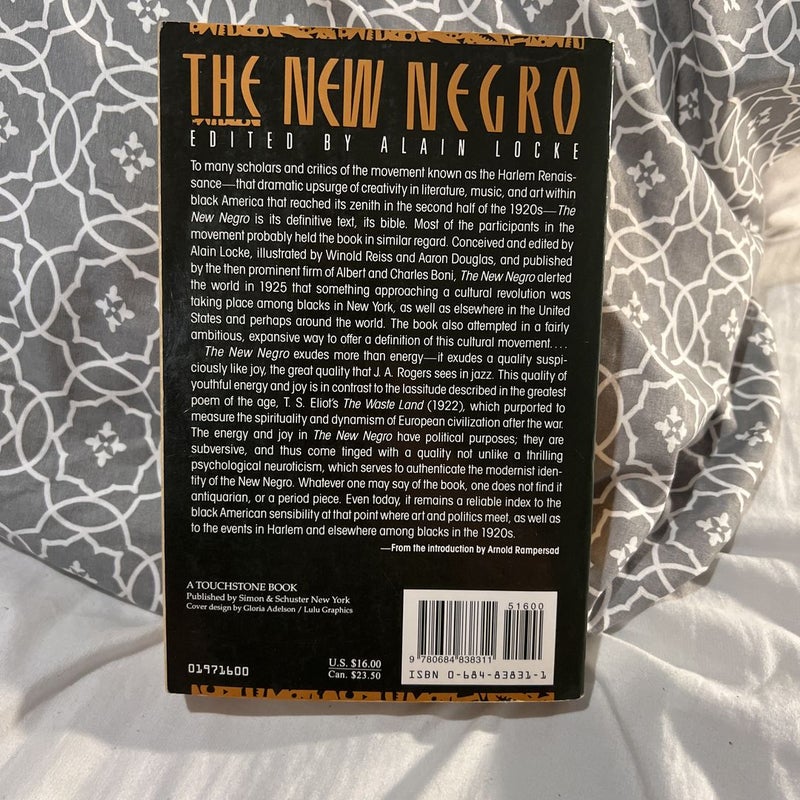 The New Negro by Alain Locke, Paperback Pangobooks