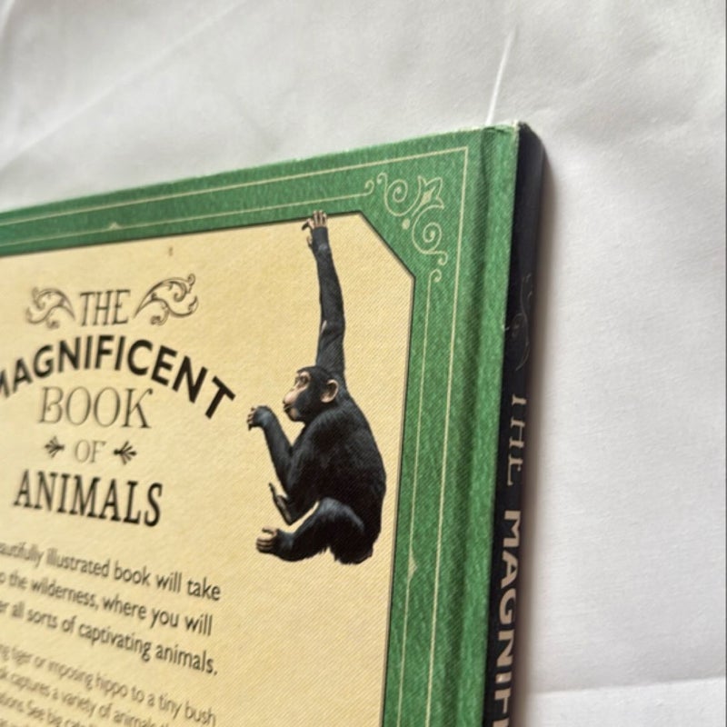 The Magnificent Book of Animals