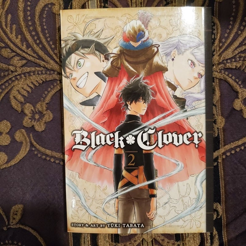 Black Clover, Vol. 2