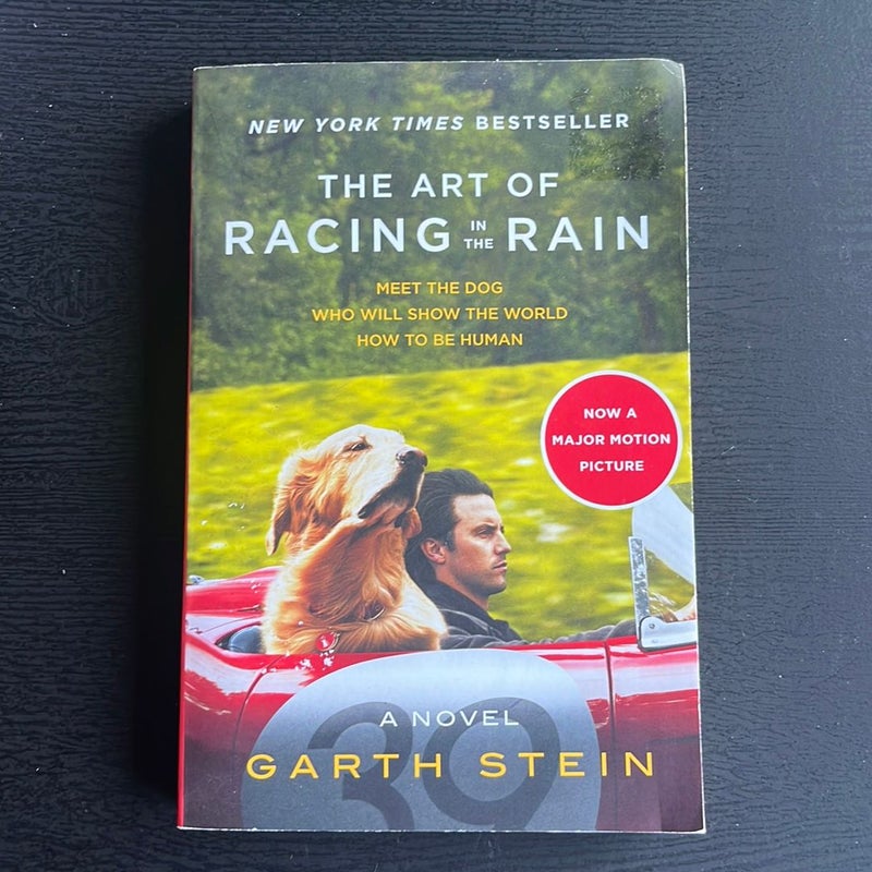 The Art of Racing in the Rain Tie-In