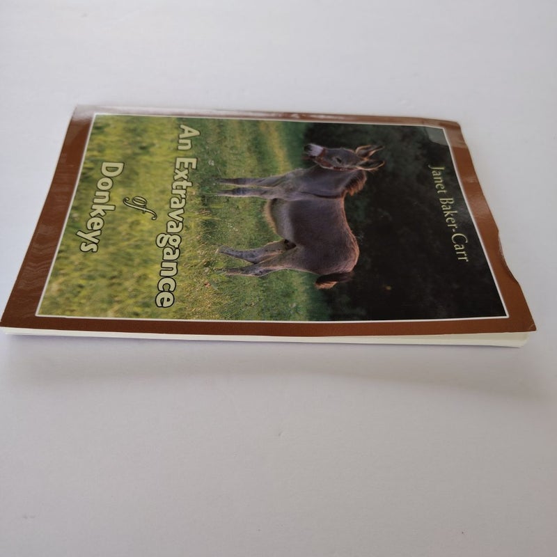 An Extravagance of Donkeys