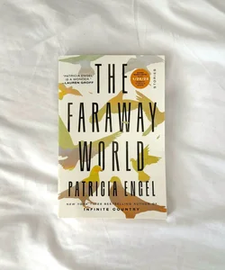 The Faraway World