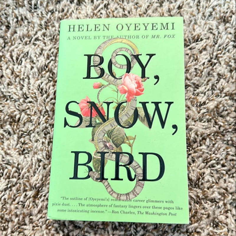 Boy, Snow, Bird